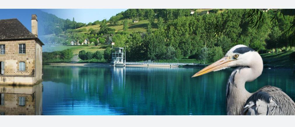 En Toute Quietude Lissac-sur-Couze Εξωτερικό φωτογραφία